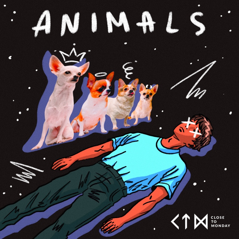 Close To Monday está de regreso con su nuevo single  "Animals"